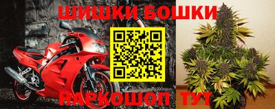 бошки Тара